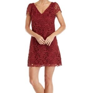 Club Monaco Burgundy Lace Mini Dress